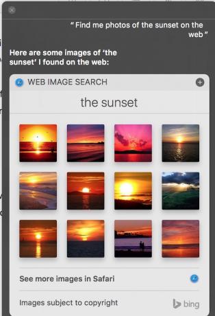 Siri Trova le foto di Sunset sul Web