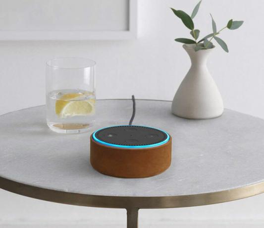 Custodia Amazon Echo Dot