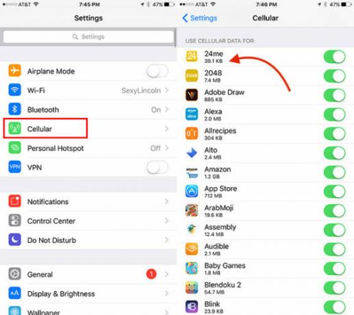 Come tenere traccia dell'utilizzo dei dati per le singole app iOS CellDataiOS1 562x500
