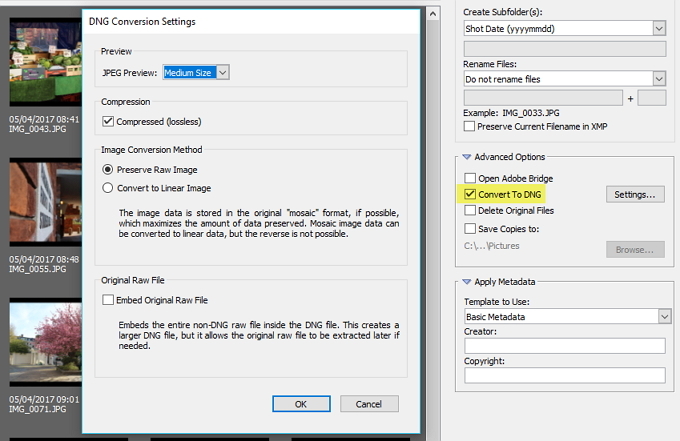 adobe bridge dng settings