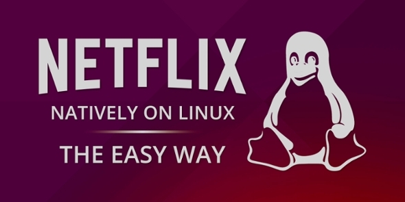 newsletter-Netflix-on-linux-facile-way-muo