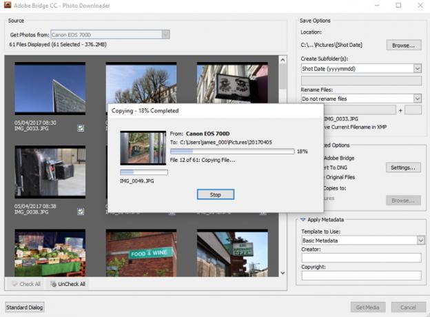 progresso dell'importazione di Adobe Bridge