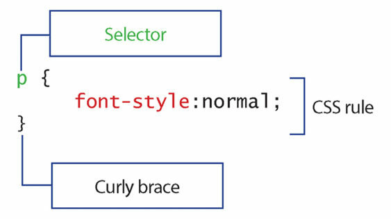 7 Abilità di programmazione Tutti gli sviluppatori di siti Web dovrebbero conoscere le regole CSS 563x315