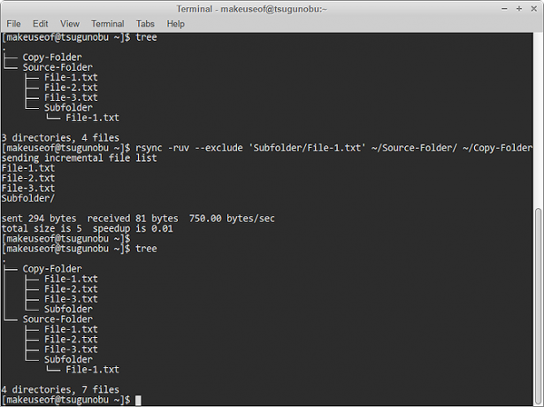 esclusione specifica rsync