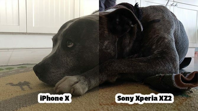 Recensione Sony Xperia XZ2: fotocamera fantastica, design unico xperia vs confronto iPhone 670x377 in condizioni di scarsa luminosità