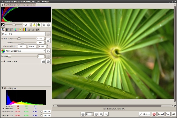 editing di foto grezze su Linux