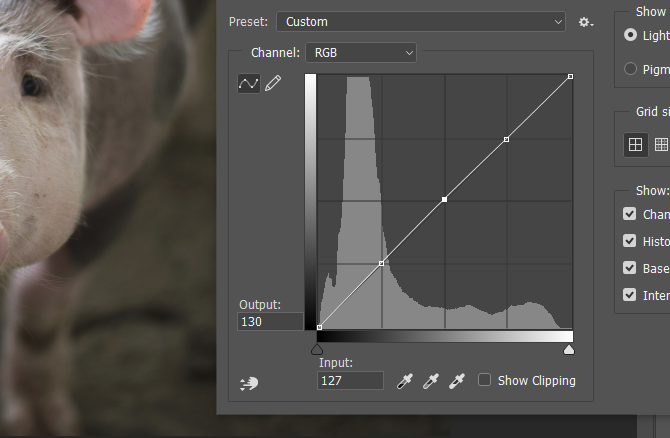 qualità del film foto curve di photoshop