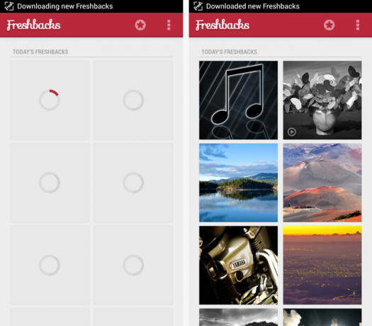 freshbacks-scaricamento freshbacks-scaricamento