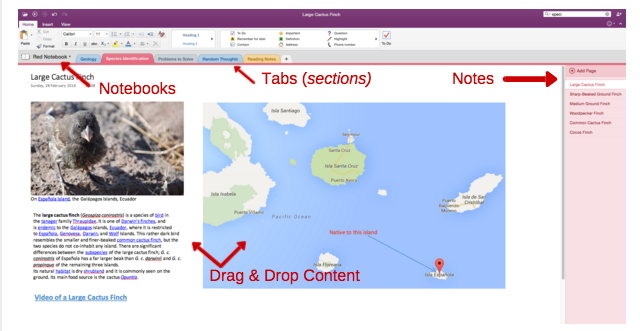 OneNote-organizzazione-640x331