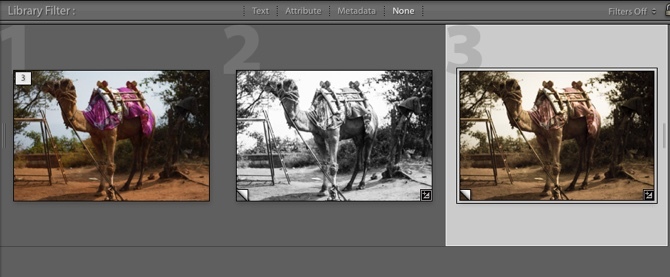 Lightroom - Applicate copie virtuali con modifiche