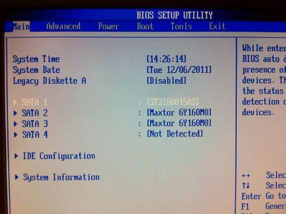 Costruire un PC per Natale: un diario visivo del processo di compilazione 17 bos HD check