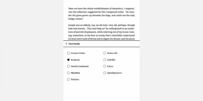 Screenshot del menu Famiglia di font Amazon Kindle