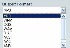 flac in mp3