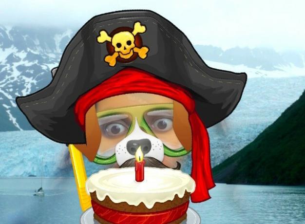 dog-pirata