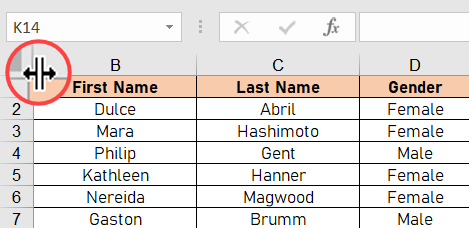 Scopri la prima colonna in Excel