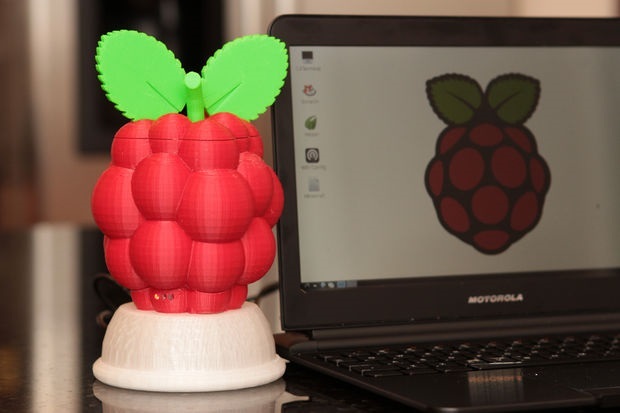 muo-fai da te-raspberrypi3dprint-berry