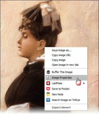 proprietà immagine estensione chrome