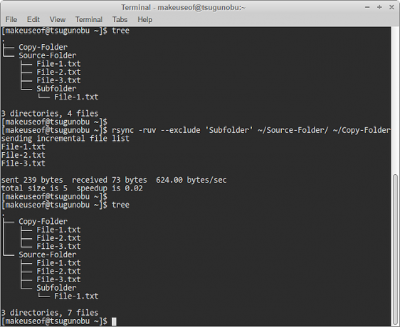 esclusione delle cartelle rsync