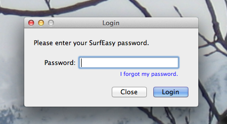 surfeasy-Password