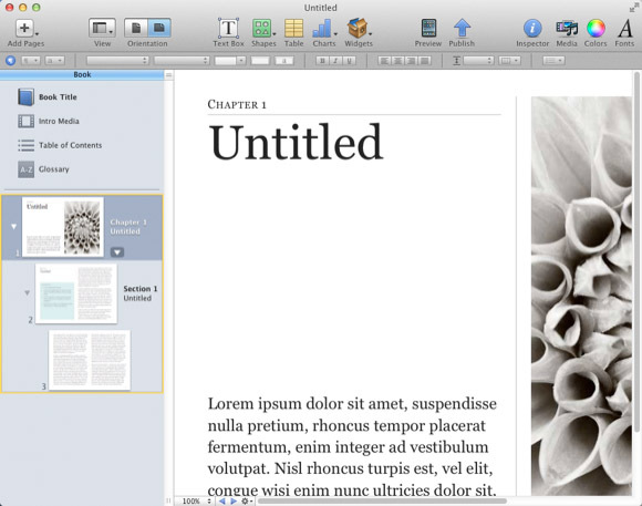 Autore di Ibooks 1