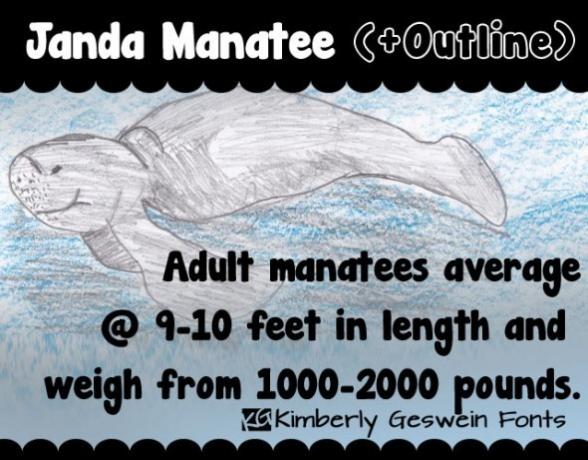 manatee1