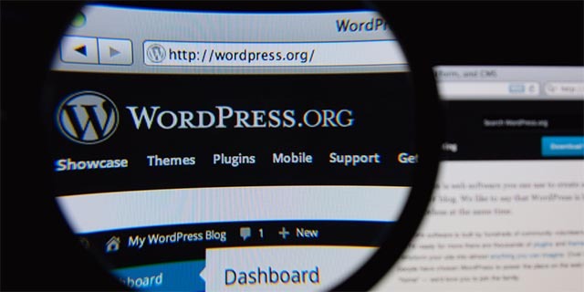 WordPress-quadro-cosa-sono-essi