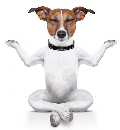 8 piccole modifiche per un browser minimalista istantaneo Esperienza meditatingdog