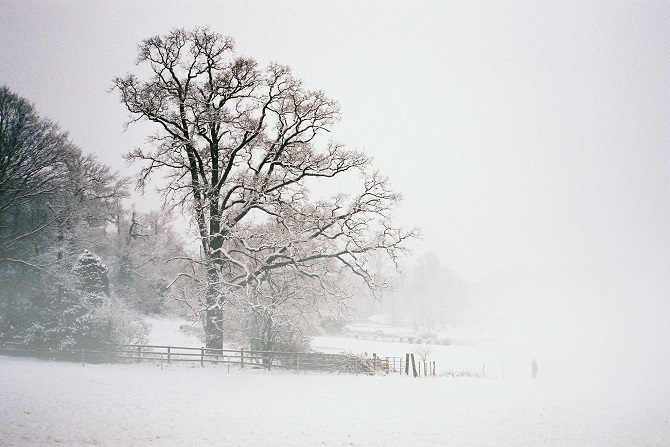 Scena di paesaggio invernale innevato