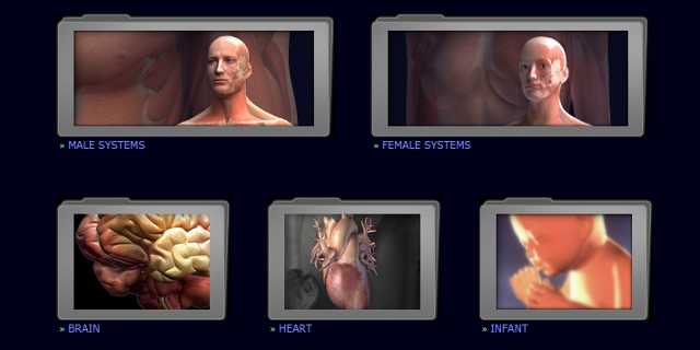 3d-anatomia-modelli-3dscience