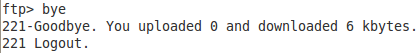 Un tutorial per comandi FTP per principianti per Ascii o trasferimenti di file binari byeftp