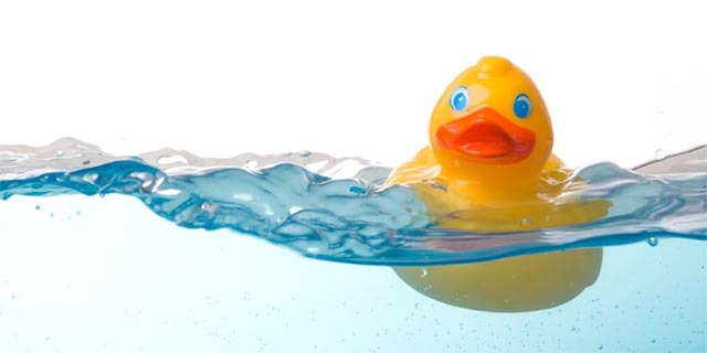 newbie-coder-tips-rubber-duck