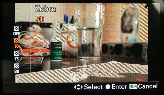 fotocamera mirrorless a6500 zebra