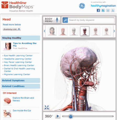 corpo umano 3d in linea