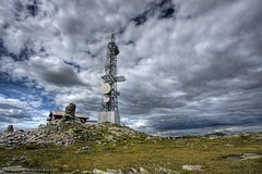 Come sopravvivere nel deserto usando il tuo albero del telefono cellulare