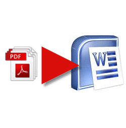 Come convertire un file PDF in un documento Word con AnyBizSoft Convertitore da PDF a Word AnyBizSoft08 Thumb