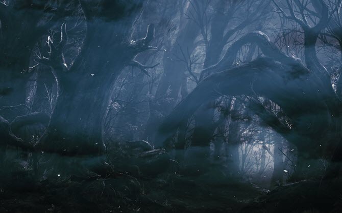 Dark Forest Wallpaper di WallHaven