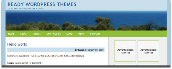 I migliori 12 temi WordPress gratuiti con spazio pubblicitario incorporato blu verde