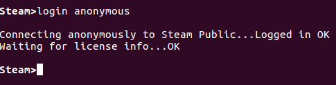 terminale steamcmd