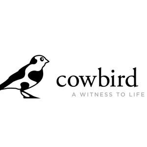 narrazione di cowbird