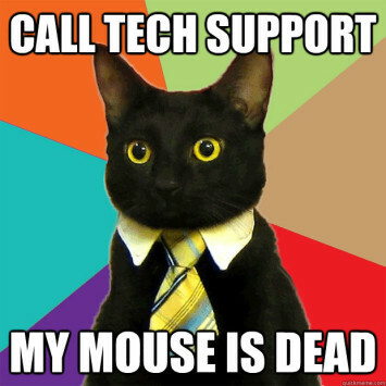 Supporto tecnico Business Cat Meme