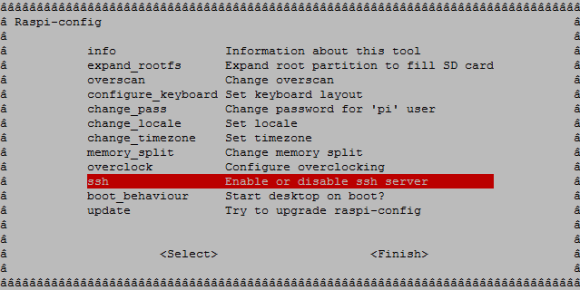 installazione di lampone pi