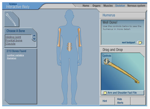 anatomia interattiva gratuita