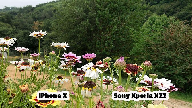 Recensione Sony Xperia XZ2: fotocamera fantastica, design unico xperia vs confronto iPhone all'aperto 670x377