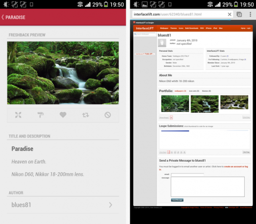 freshbacks-attribuzione freshbacks-attribuzione