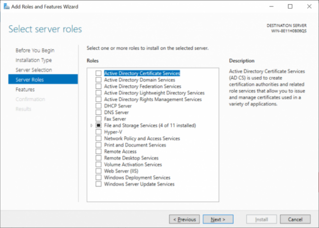 Selezione ruolo Windows Server