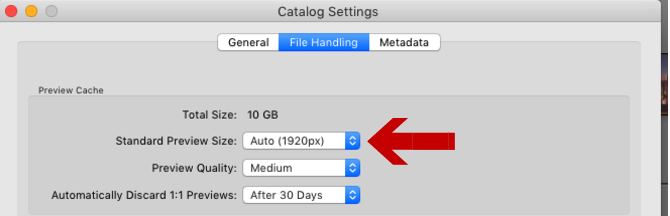 dimensioni di anteprima di lightroom