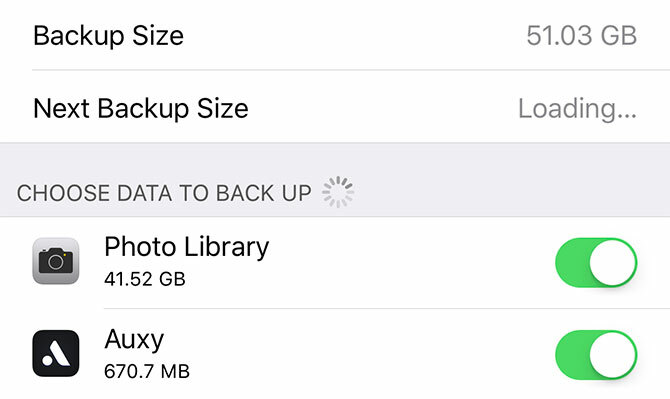 backup dell'iPhone - Elementi di backup iCloud