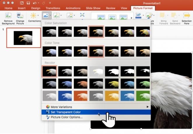 PowerPoint - Imposta colore trasparente