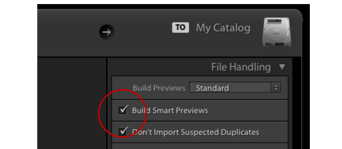 anteprime intelligenti di lightroom