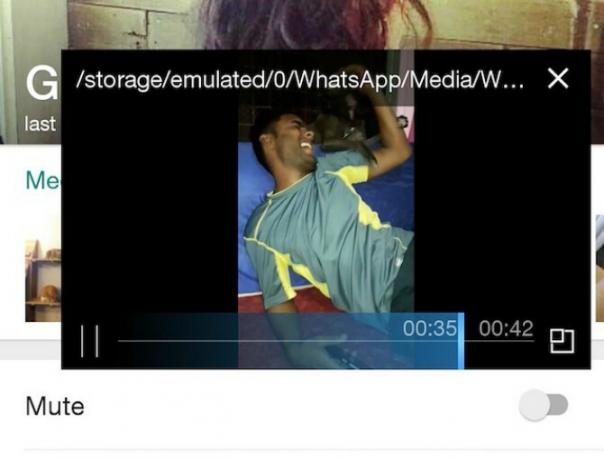 zoom popout video di whatsapp